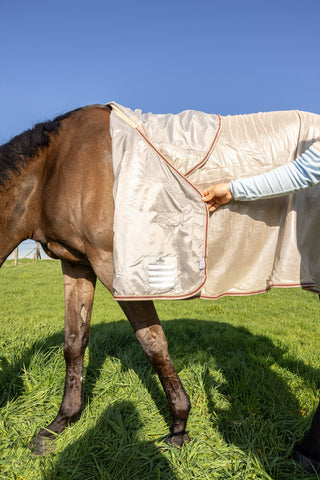 Fly Rug Mesh with Belly Plate Beige