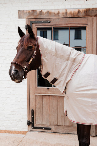Fly Rug Mesh with Belly Plate Beige