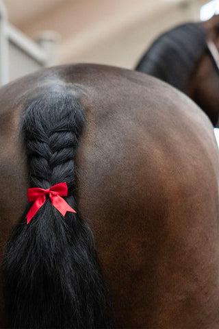 Staartstrik KLdaisey Rood