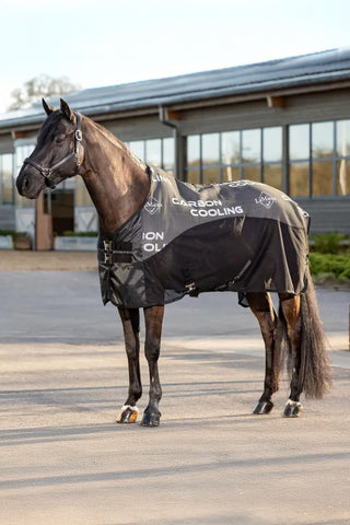 LeMieux Carbon Cooler Rug Black