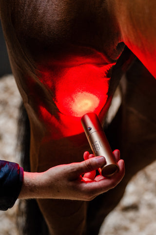 LED Infrared Wand
