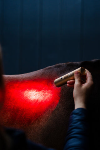 LED Infrared Wand