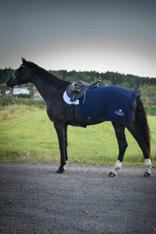 Ländtäcke Thermatex Navy