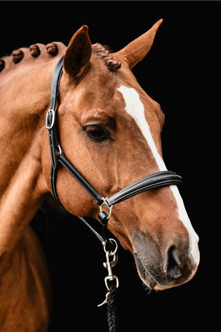 Lädergrimma Frisco Svart/Cream/Silver