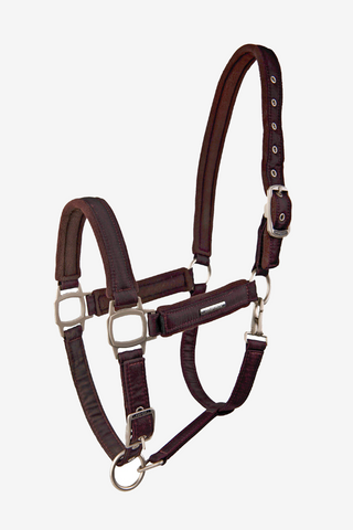 Grimma Aurora Bordeaux