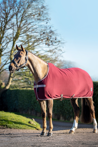 Fleecetäcke Arika Jersey-Tek Burgundy