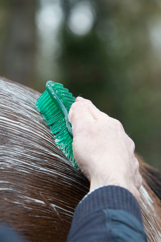 Piggborste Hippo Grön