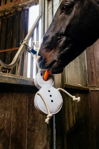 Hästleksak Snögubbe