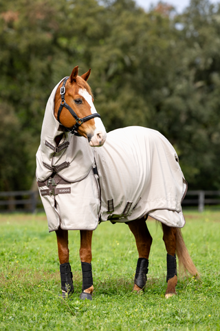 Utetäcke Kudos Stone