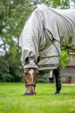 Flugtäcke Sweet Itch Kudos Stone