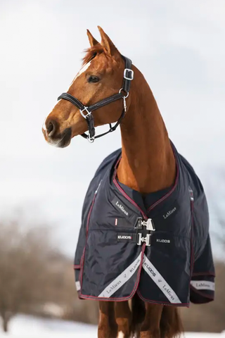 Vintertäcke Kudos 350g Navy