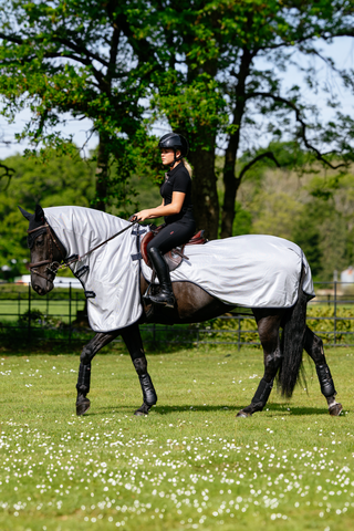 Flugtäcke Ride On Grå