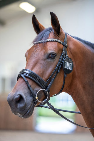 Bridle Nummerlapp