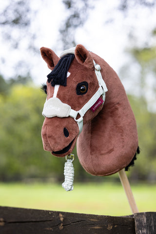 Hobby Horse Grimma