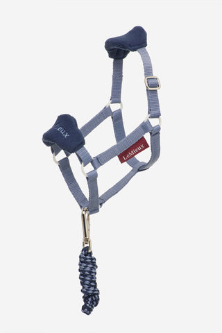 Hobby Horse Grimma