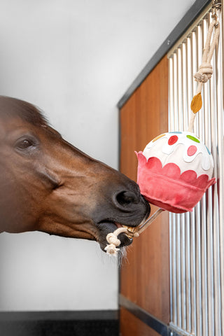 Horse Toy Leksak Cupcake