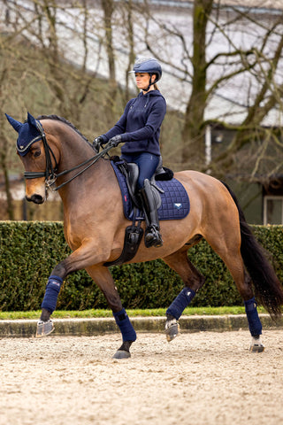 Loire Classic Dressyrschabrak