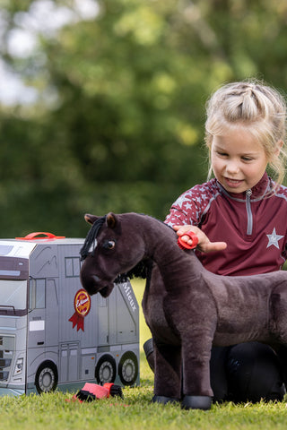 Toy Pony Grooming Kit