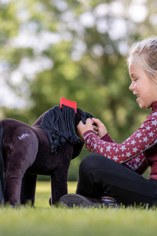 Toy Pony Grooming Kit