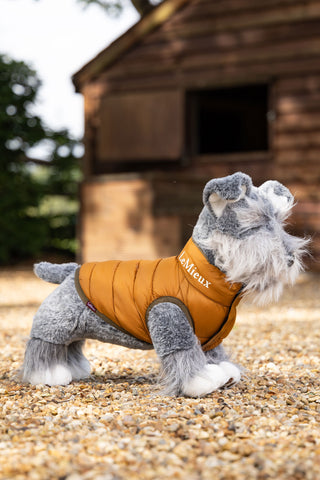 Leksakshund Jacka