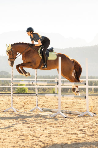 Hoppschabrak Sammet Macaron