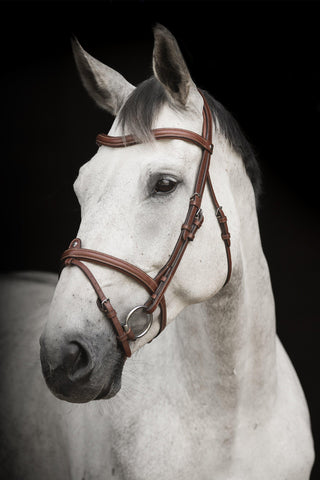 Aachen Bridle Eccelente Cognac