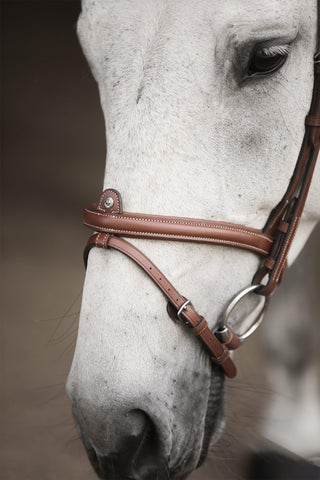 Aachen Bridle Eccelente Cognac
