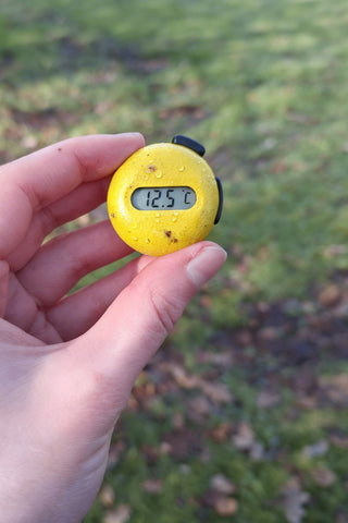 MeoTemp Temperatursensor 1er-Pack