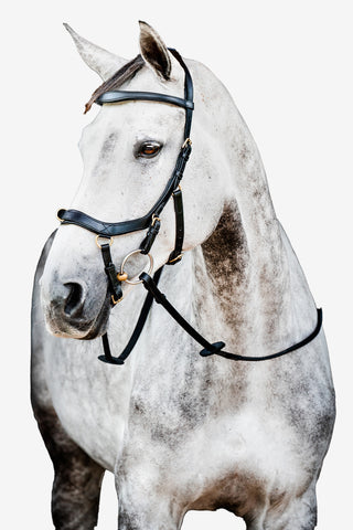 Micklem 2 Multi Bridle Svart