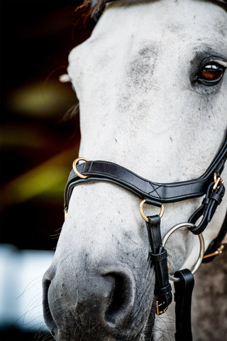 Micklem 2 Multi Bridle Svart