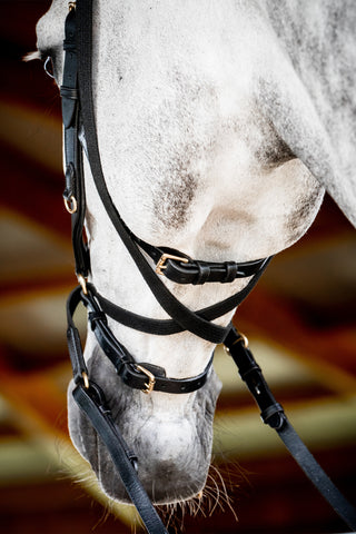 Micklem 2 Multi Bridle Svart