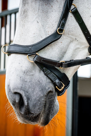 Micklem 2 Multi Bridle Svart