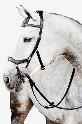 Micklem 2 Multi Bridle Svart