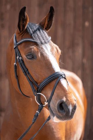 Novocontact Snaffle 14mm