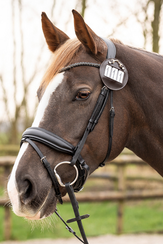 Nummerlapp Ricki Brun/Guld