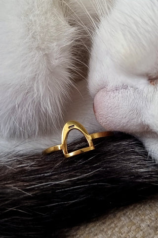 Ring Stirrup Gold