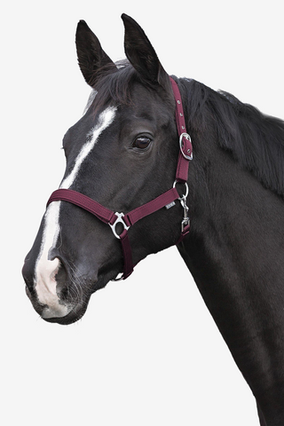 Grimma Fodrad Vinröd