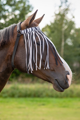 Vliegenhoofdband Extra Zebra