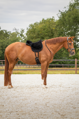 Barbacka Padd SuperSoft Svart/Svart