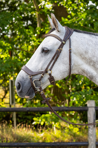Devi Bridle including Reins Brown