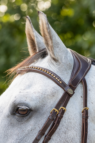 Devi Bridle including Reins Brown