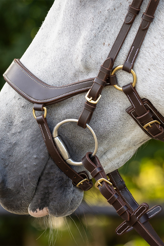 Devi Bridle including Reins Brown