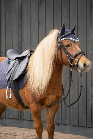 Komplett Sadelset Svart