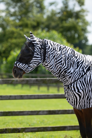 Eczema Hood with Ears Zebra