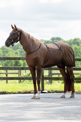 Sweet itch dækken brun