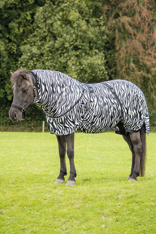 Eksemtäcke Icelandic Zebra