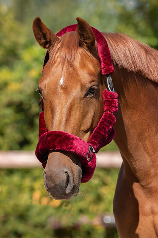 QHP Grime Alaska Bourgogne/Sort