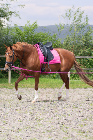 Longeringshjælp Fuchsia