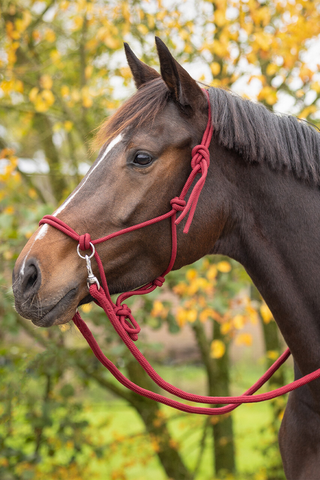 Touwhalster met touwteugel Burgundy