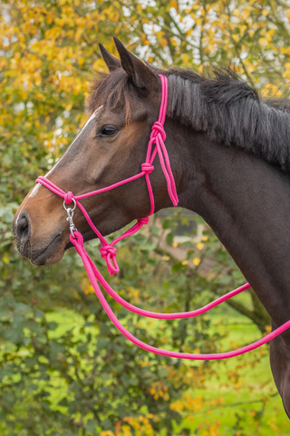 Repgrimma med Reptygel Fuchsia